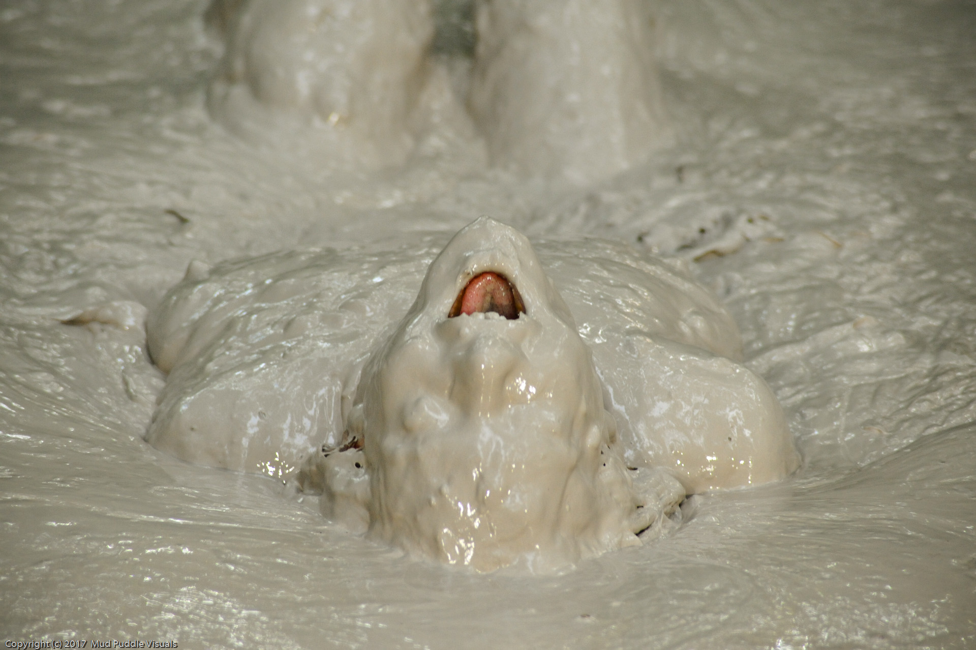 Anabelle pync mud bubbles